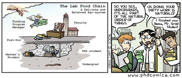 Comic showing the food chain of academia
